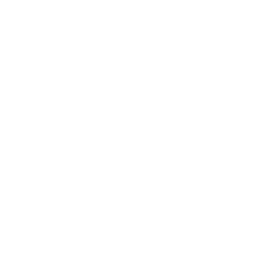 Fire Exe Logo