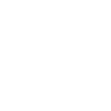 Fire Exe Logo